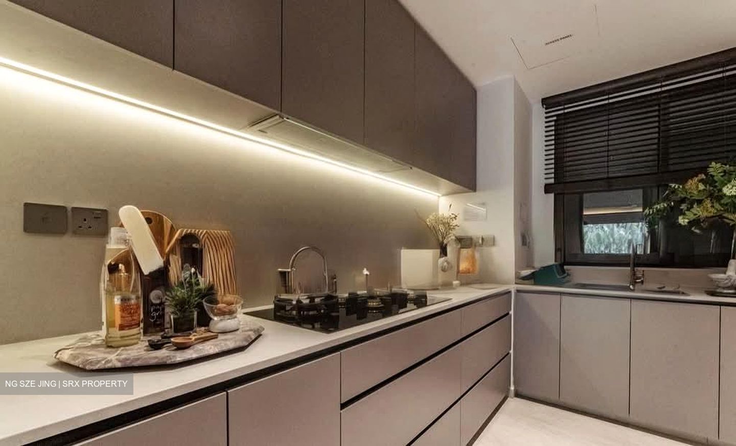 Pasir Panjang Road (D5), Condominium #540191661